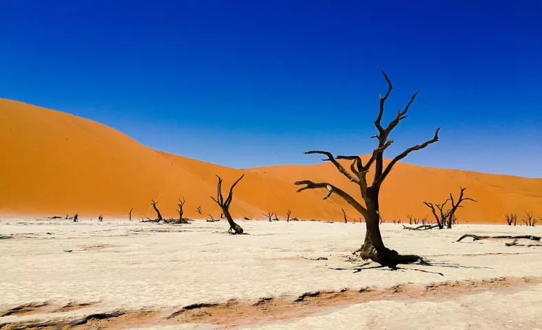 AnyConv.com__namibia_slider_dettaglio_m_7 (1).webp